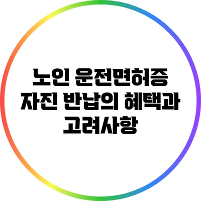 노인 운전면허증 자진 반납의 혜택과 고려사항