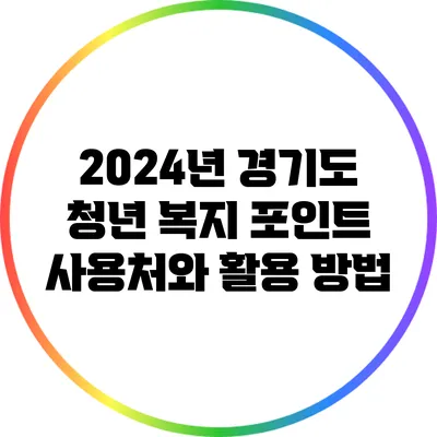 2024년 경기도 청년 복지 포인트 사용처와 활용 방법