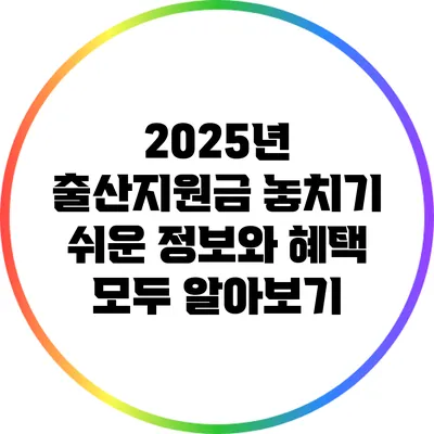 2025년 출산지원금: 놓치기 쉬운 정보와 혜택 모두 알아보기