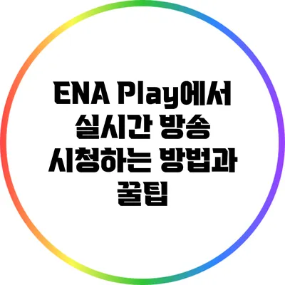 ENA Play에서 실시간 방송 시청하는 방법과 꿀팁