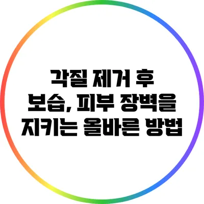각질 제거 후 보습, 피부 장벽을 지키는 올바른 방법