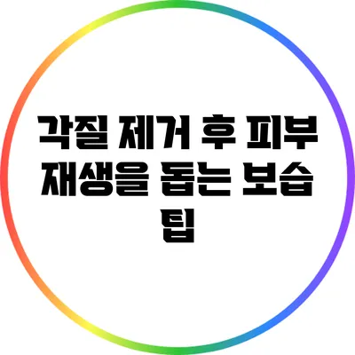 각질 제거 후 피부 재생을 돕는 보습 팁