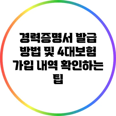 경력증명서 발급 방법 및 4대보험 가입 내역 확인하는 팁