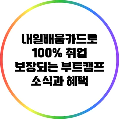 내일배움카드로 100% 취업 보장되는 부트캠프 소식과 혜택