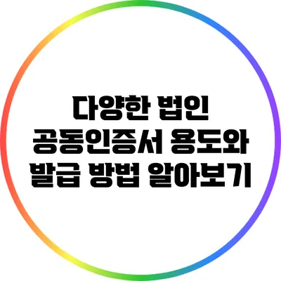 다양한 법인 공동인증서 용도와 발급 방법 알아보기