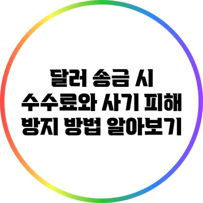 달러 송금 시 수수료와 사기 피해 방지 방법 알아보기