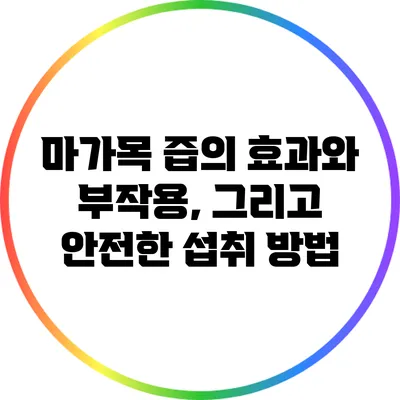 **마가목 즙의 효과와 부작용, 그리고 안전한 섭취 방법**