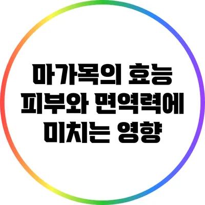 마가목의 효능: 피부와 면역력에 미치는 영향