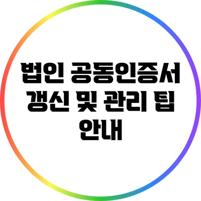 법인 공동인증서 갱신 및 관리 팁 안내