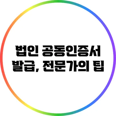 법인 공동인증서 발급, 전문가의 팁