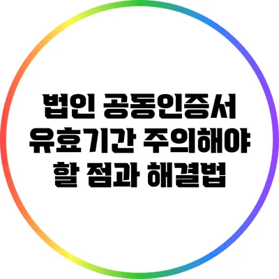 법인 공동인증서 유효기간: 주의해야 할 점과 해결법