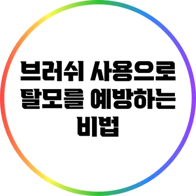 브러쉬 사용으로 탈모를 예방하는 비법