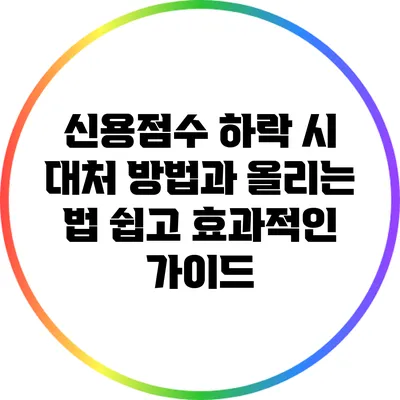 신용점수 하락 시 대처 방법과 올리는 법: 쉽고 효과적인 가이드