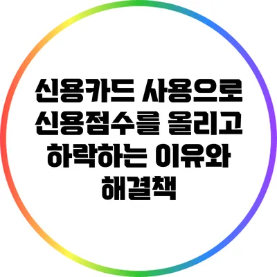 신용카드 사용으로 신용점수를 올리고 하락하는 이유와 해결책