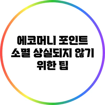 에코머니 포인트 소멸: 상실되지 않기 위한 팁