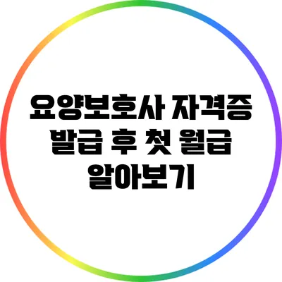 요양보호사 자격증 발급 후 첫 월급 알아보기