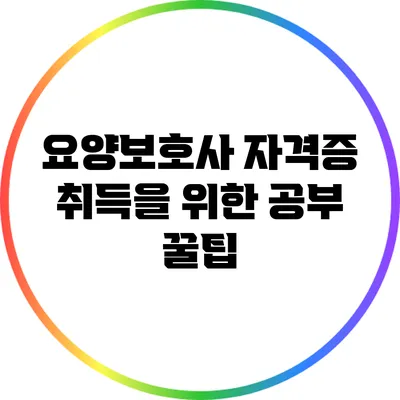 요양보호사 자격증 취득을 위한 공부 꿀팁