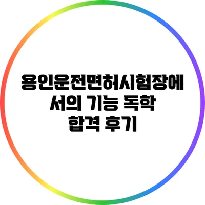 용인운전면허시험장에서의 기능 독학 합격 후기