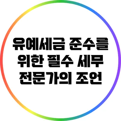유예세금 준수를 위한 필수 세무 전문가의 조언