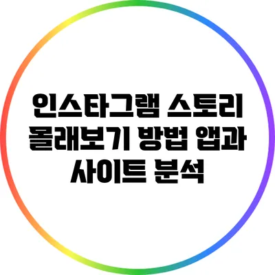 인스타그램 스토리 몰래보기 방법: 앱과 사이트 분석