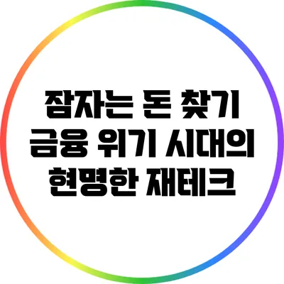잠자는 돈 찾기: 금융 위기 시대의 현명한 재테크