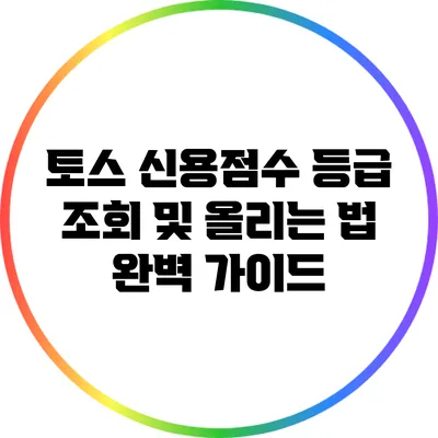 토스 신용점수 등급 조회 및 올리는 법 완벽 가이드