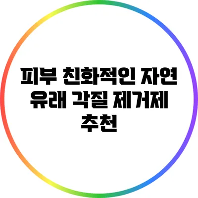 피부 친화적인 자연 유래 각질 제거제 추천