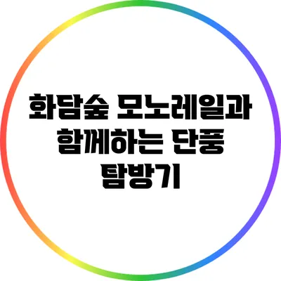 화담숲 모노레일과 함께하는 단풍 탐방기