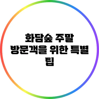 화담숲 주말 방문객을 위한 특별 팁