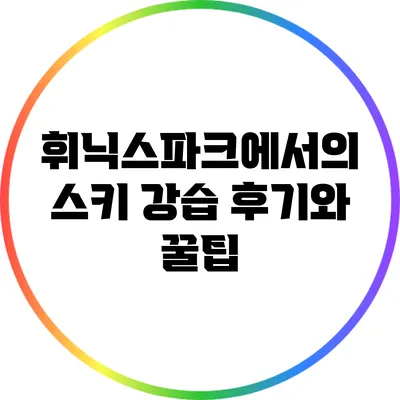 휘닉스파크에서의 스키 강습 후기와 꿀팁