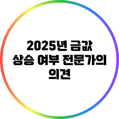 2025년 금값 상승 여부: 전문가의 의견