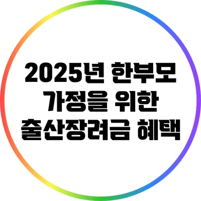 2025년 한부모 가정을 위한 출산장려금 혜택