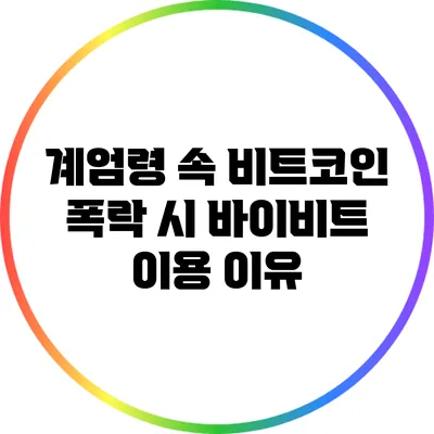 계엄령 속 비트코인 폭락 시 바이비트 이용 이유
