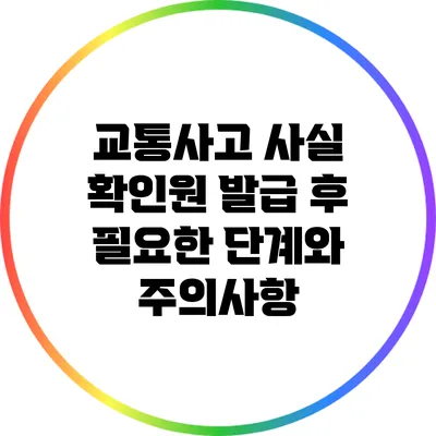 교통사고 사실 확인원 발급 후 필요한 단계와 주의사항