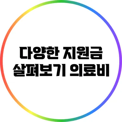 다양한 지원금 살펴보기: 의료비