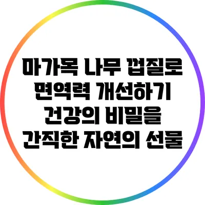 마가목 나무 껍질로 면역력 개선하기: 건강의 비밀을 간직한 자연의 선물
