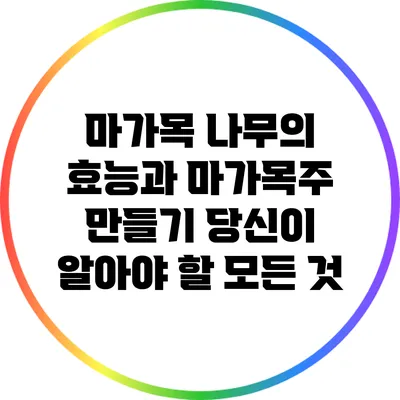 마가목 나무의 효능과 마가목주 만들기: 당신이 알아야 할 모든 것