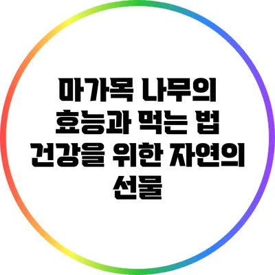 마가목 나무의 효능과 먹는 법: 건강을 위한 자연의 선물