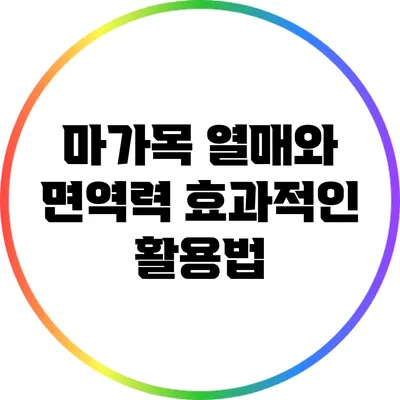 마가목 열매와 면역력: 효과적인 활용법
