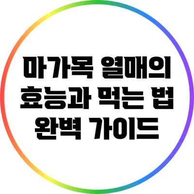마가목 열매의 효능과 먹는 법 완벽 가이드