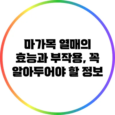 마가목 열매의 효능과 부작용, 꼭 알아두어야 할 정보