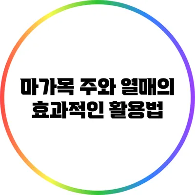 마가목 주와 열매의 효과적인 활용법