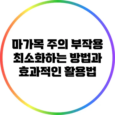 마가목 주의 부작용 최소화하는 방법과 효과적인 활용법