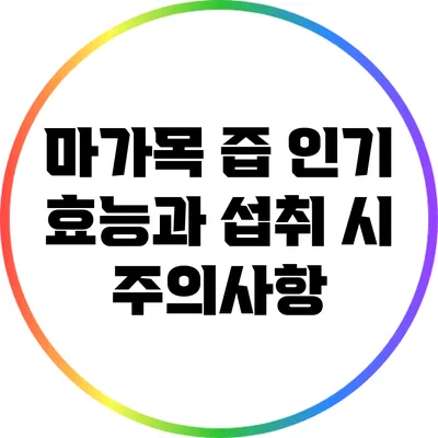 마가목 즙: 인기 효능과 섭취 시 주의사항