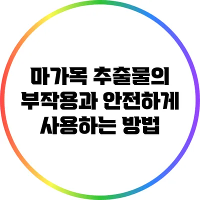 마가목 추출물의 부작용과 안전하게 사용하는 방법