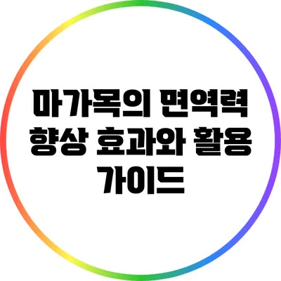 마가목의 면역력 향상 효과와 활용 가이드