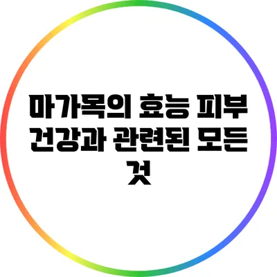 마가목의 효능: 피부 건강과 관련된 모든 것