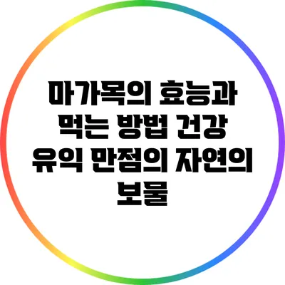 마가목의 효능과 먹는 방법: 건강 유익 만점의 자연의 보물