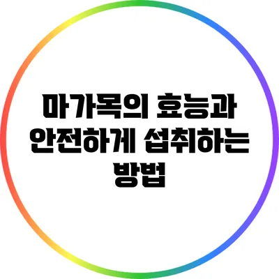 마가목의 효능과 안전하게 섭취하는 방법