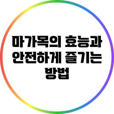 마가목의 효능과 안전하게 즐기는 방법